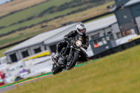 PJ-Motorsport-2019;anglesey-no-limits-trackday;anglesey-photographs;anglesey-trackday-photographs;enduro-digital-images;event-digital-images;eventdigitalimages;no-limits-trackdays;peter-wileman-photography;racing-digital-images;trac-mon;trackday-digital-images;trackday-photos;ty-croes